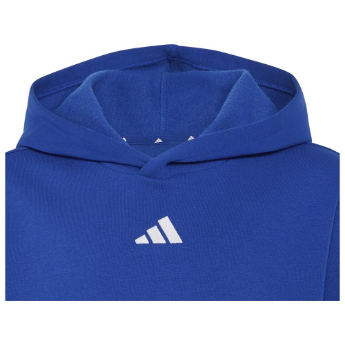 Adidas Παιδικό φούτερ